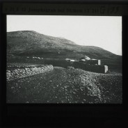 Böhl glass slide 61.3/1767